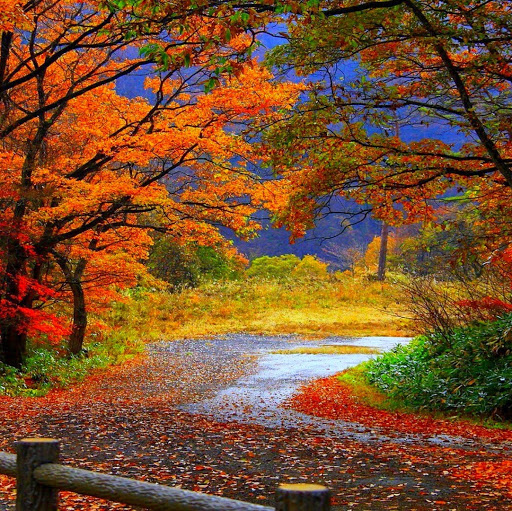 Autumn Flick Photo 4