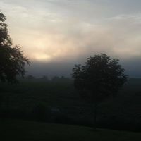 Cindy Coffman Photo 4