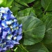 Amanda Land Photo 36