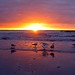 Lynn Noyes Photo 23