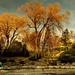 Edward Pallette Photo 8
