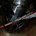 Dalton Helms Photo 20