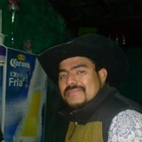 Robin Francisco Photo 7