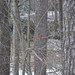 Larry January Photo 16