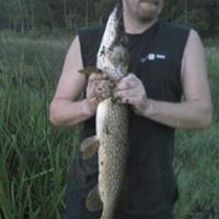 Andrew Gaul Photo 7