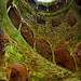 Antonio Monteiro Photo 35