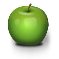 Susan Apple Photo 6