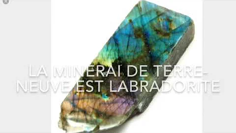 Mervat Youssef Photo 14