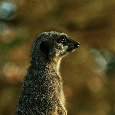 Jonathan Munro Photo 11