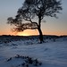 Lawrence Fielding Photo 16
