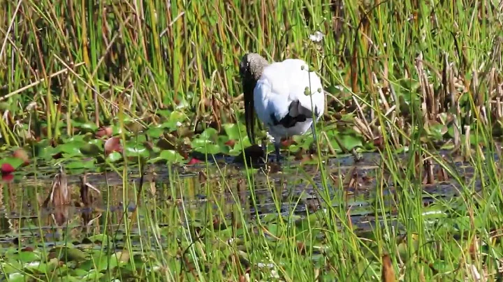 Karen Stork Photo 22