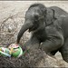 Polly Wilson Photo 37