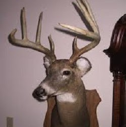 Peter Calloway Photo 10