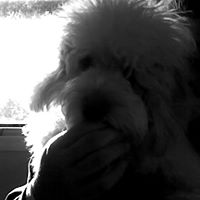 Sampson Smith Photo 4
