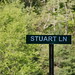 Stuart Lane Photo 43