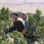 Bart Stevens Photo 27