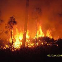 Roger Todd Photo 6