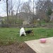 Gracie Murphy Photo 26