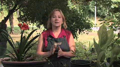 Susan Fekete Photo 16