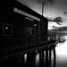 Randall Warf Photo 8