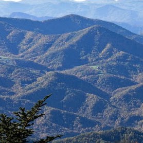 Fred Helms Photo 11