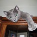 Toby Vance Photo 23