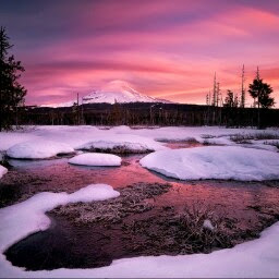 Lisa Haasch Photo 3