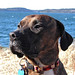 Ralph Little Photo 30