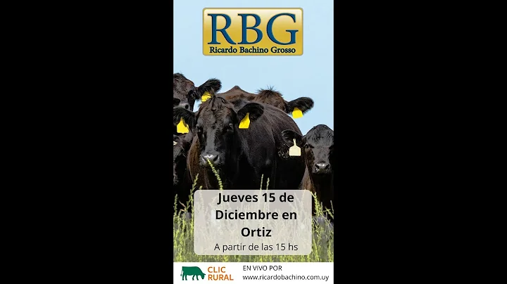 Ricardo Grosso Photo 17