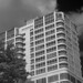 John Swindon Photo 19