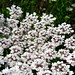 Anne Heinz Photo 28
