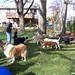 Brian Colburn Photo 36