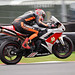 Stuart Wilson Photo 51