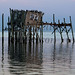 Thomas Key Photo 47