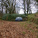 Richard Carew Photo 24