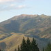 Delores Fox Photo 21