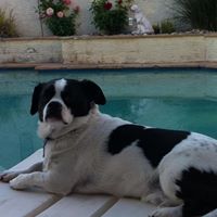 Beth Knotts Photo 3