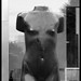 Suzanne Berg Photo 34