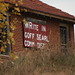 Cindy Goff Photo 28