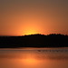 Kenneth Griffin Photo 46