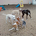 Louie Henry Photo 32
