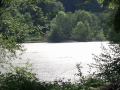 Deborah Schein Photo 9