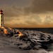 Peggy Winters Photo 32