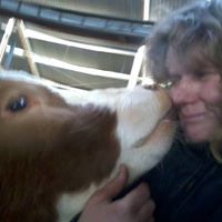 Louise Lindquist Photo 2