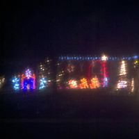 Pamela Haworth Photo 2