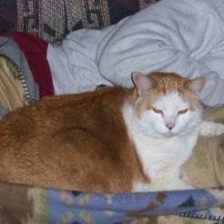 Otis May Photo 6