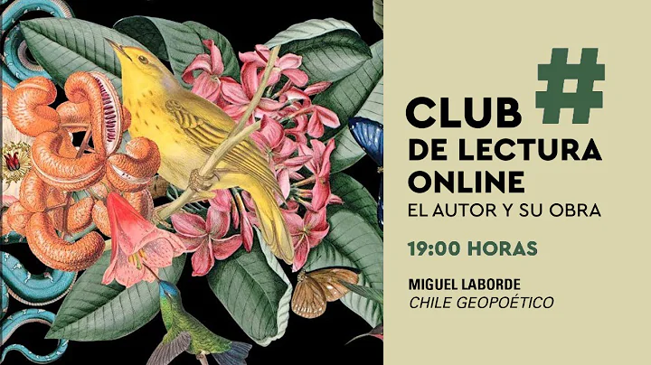 Miguel Laborde Photo 17