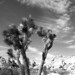 Joshua Baker Photo 50