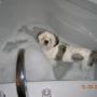 Sandy Wolfe Photo 28