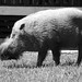George Bakos Photo 16